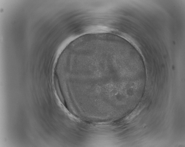 X0000073751488200608241334