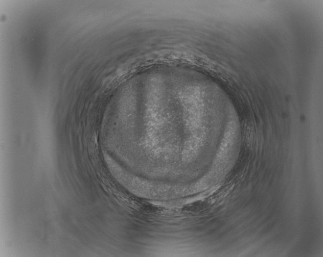 X0000073751489200608241334