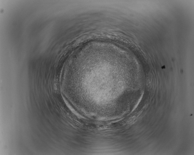 X0000073751490200608241334