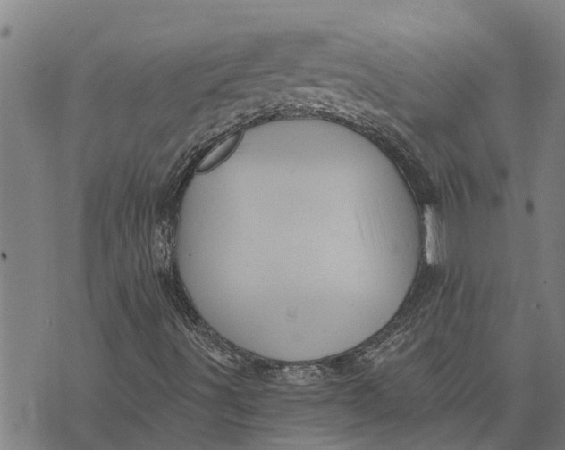 X0000073751491200608241334