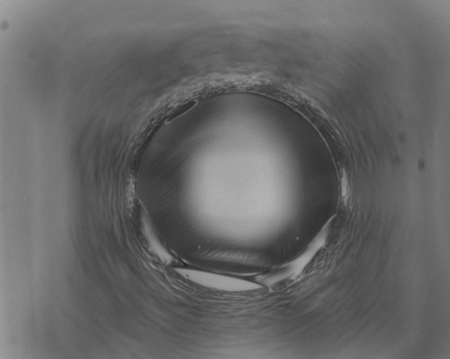 X0000073751492200608241334