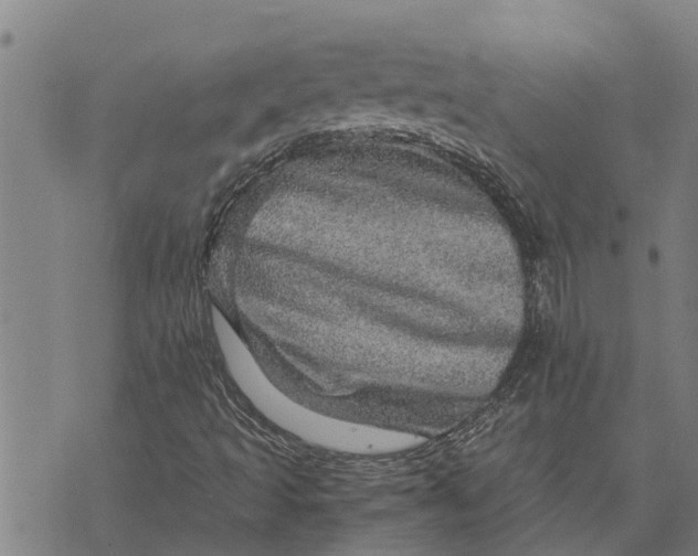 X0000073751493200608241334