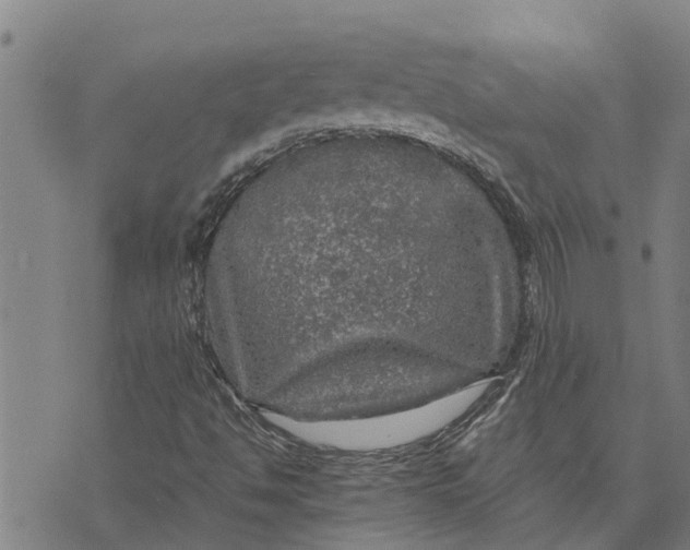 X0000073751494200608241334