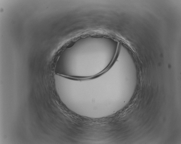 X0000073751496200608241334