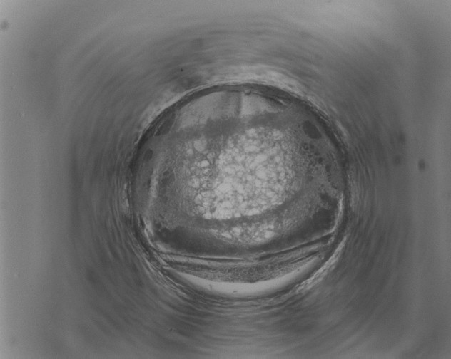 X0000073751497200608241334