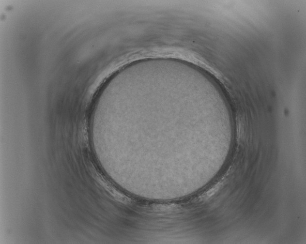 X0000073751498200608241334