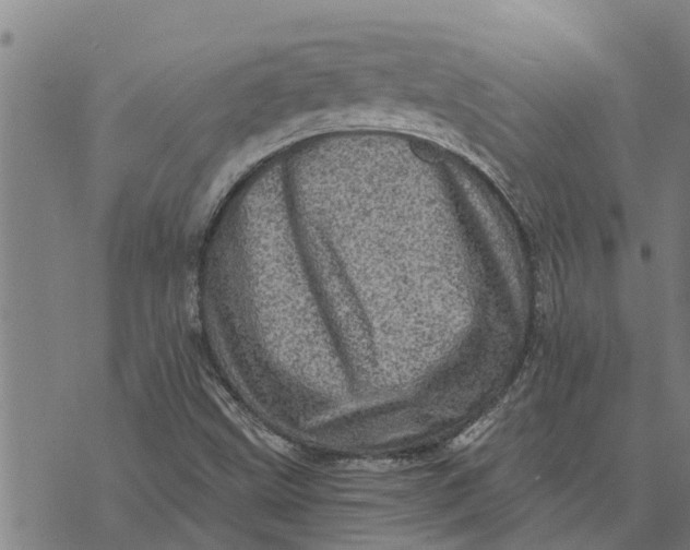 X0000073751499200608241334