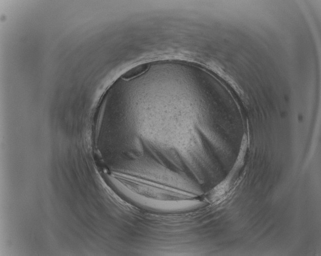 X0000073751500200608241334