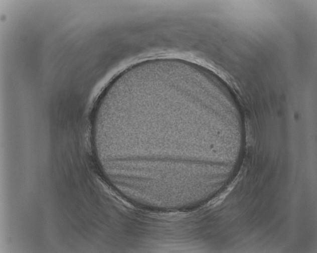 X0000073751502200608241334