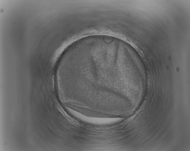 X0000073751503200608241334