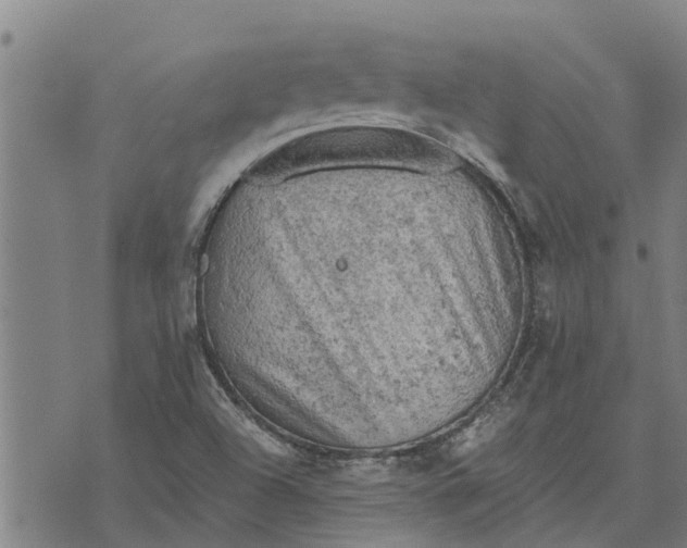 X0000073751504200608241334