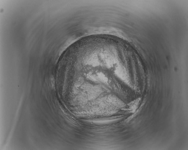 X0000073751505200608241334