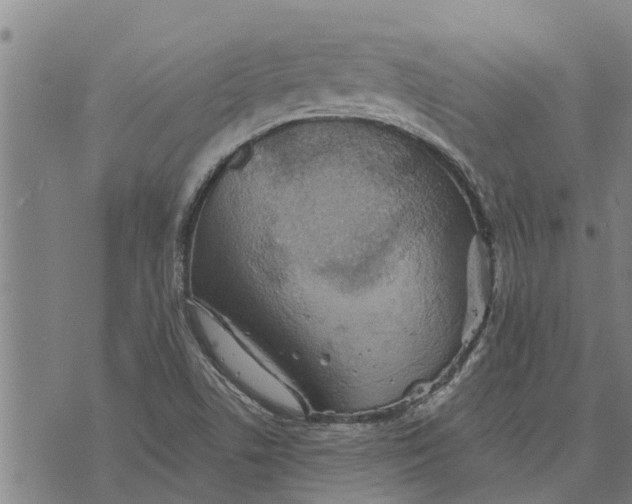 X0000073751506200608241334