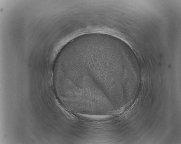 X0000073751507200608241334