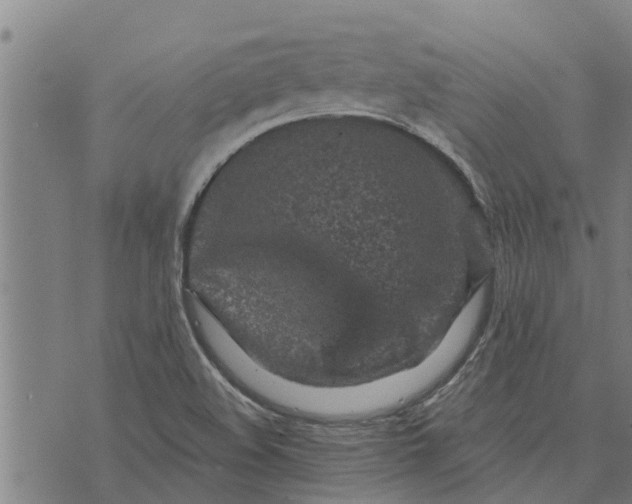 X0000073751508200608241334