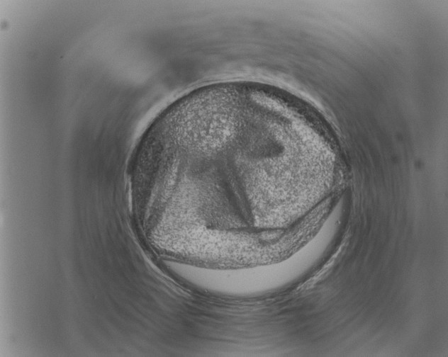 X0000073751509200608241334