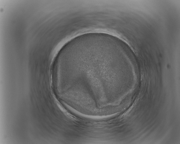 X0000073751511200608241334