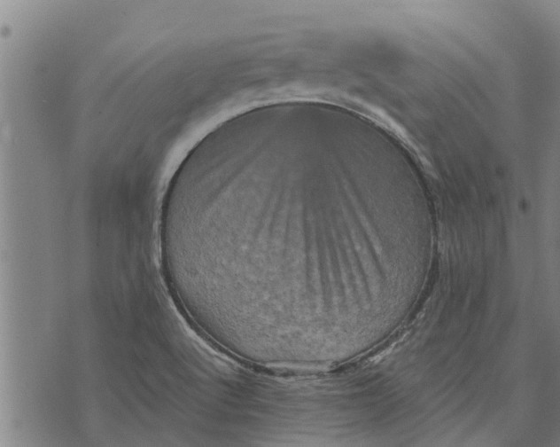 X0000073751512200608241334