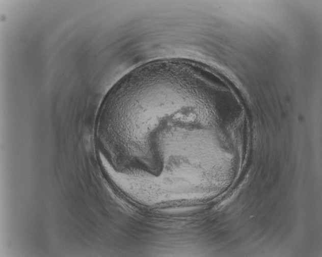 X0000073751513200608241334