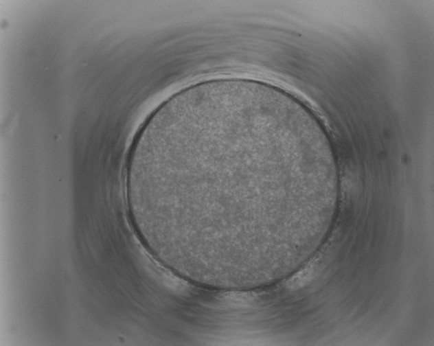 X0000073751514200608241334