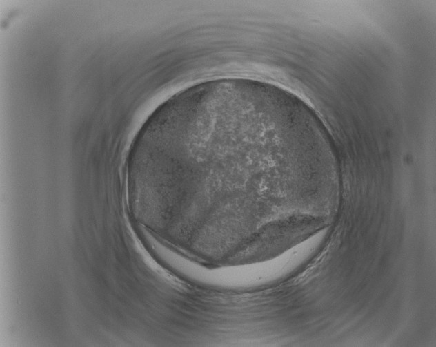 X0000073751515200608241334