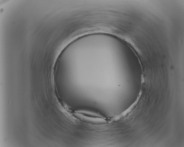 X0000073751516200608241334