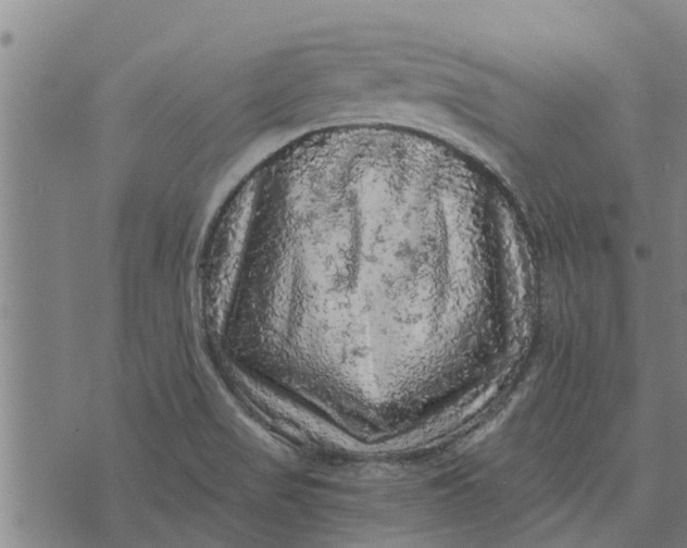 X0000073751517200608241334