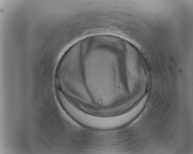 X0000073751518200608241334