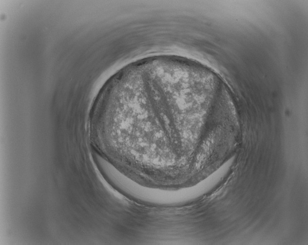 X0000073751519200608241334