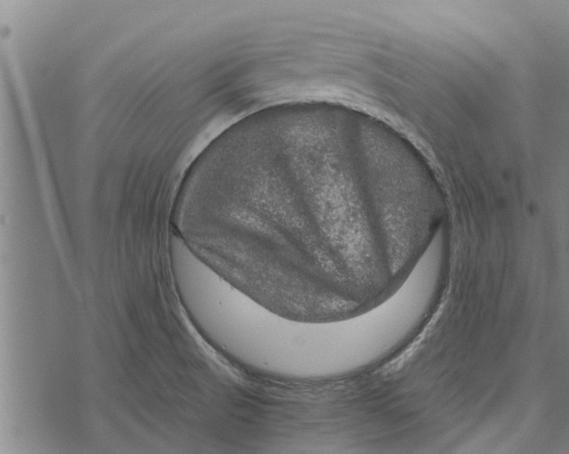 X0000073751521200608241334