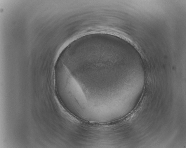 X0000073751522200608241334