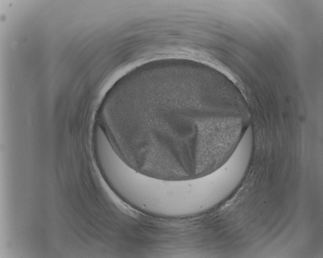 X0000073751523200608241334