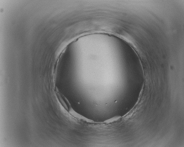 X0000073751524200608241334