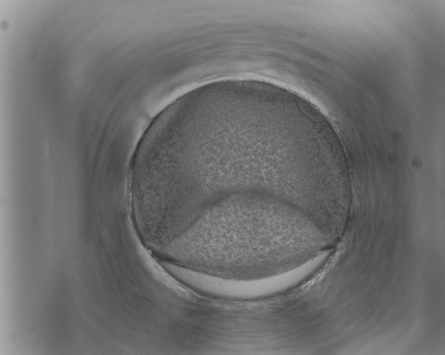 X0000073751526200608241334