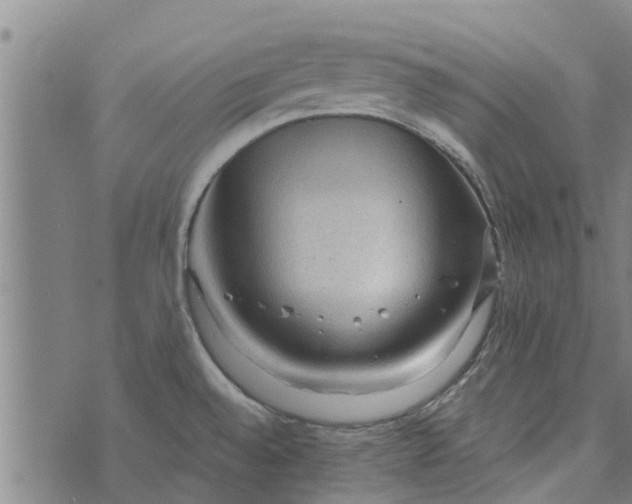 X0000073751528200608241334