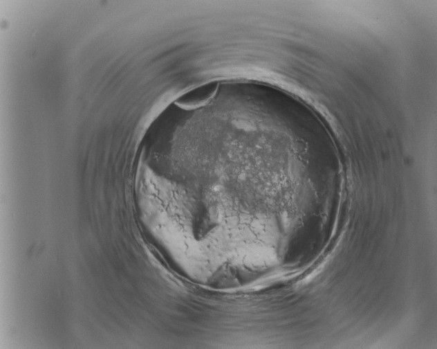 X0000073751529200608241334