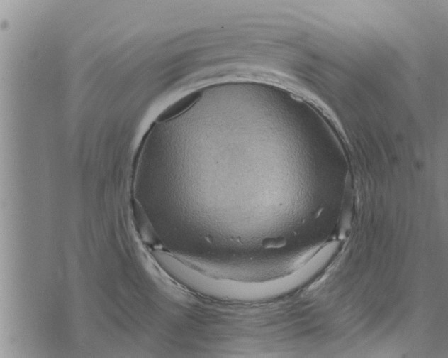 X0000073751530200608241334