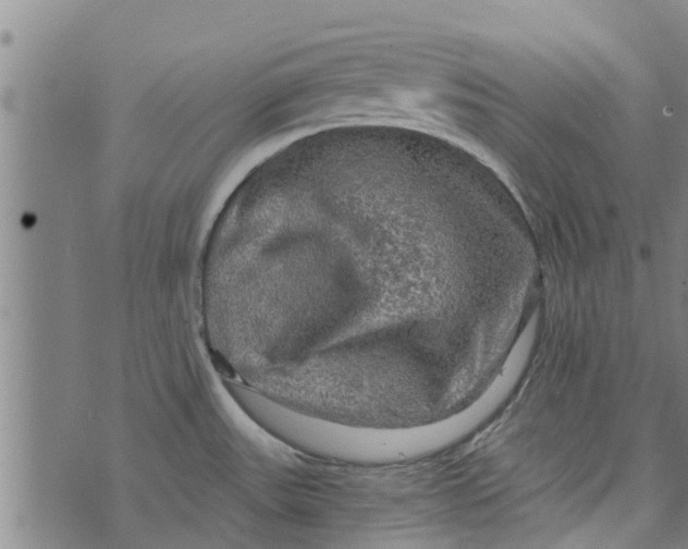 X0000073751531200608241334