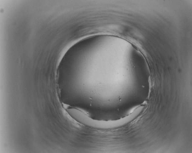 X0000073751532200608241334