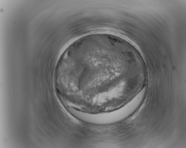 X0000073751533200608241334