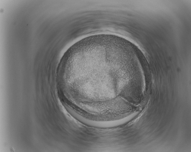 X0000073751534200608241334