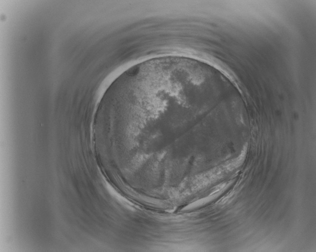 X0000073751535200608241334