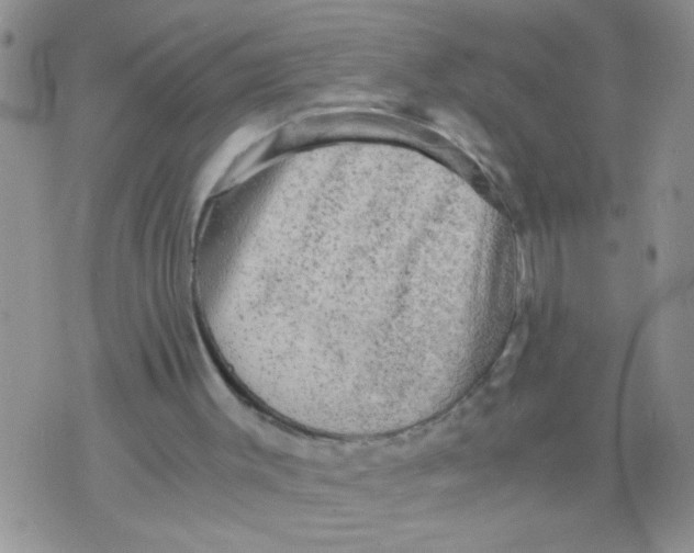 X0000073750003200608311947