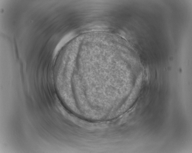 X0000073750004200608311947