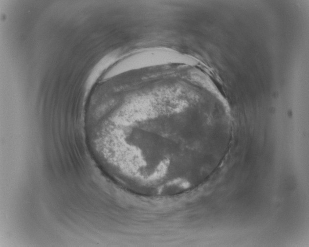 X0000073750006200608311947