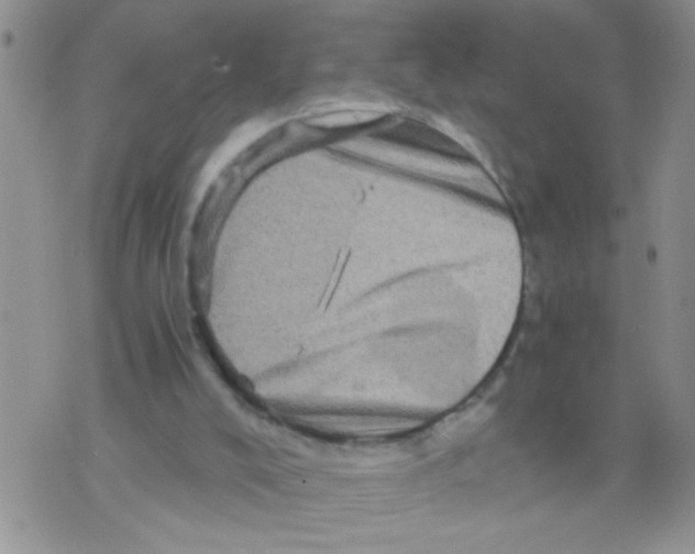 X0000073750008200608311947