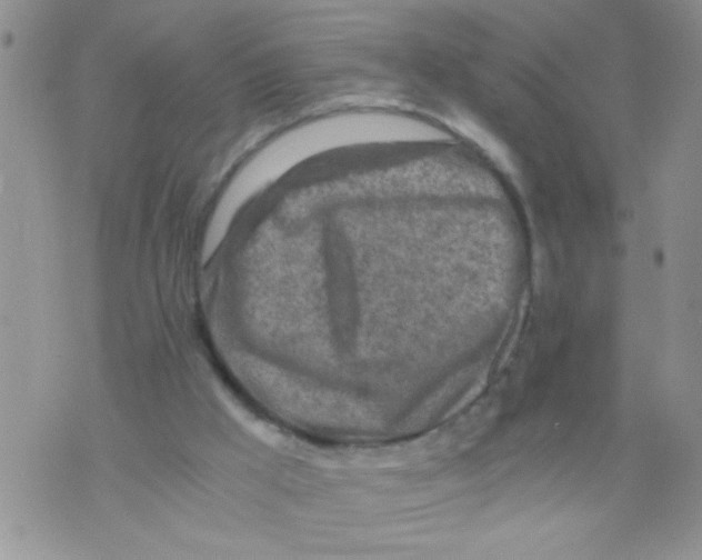 X0000073750009200608311947