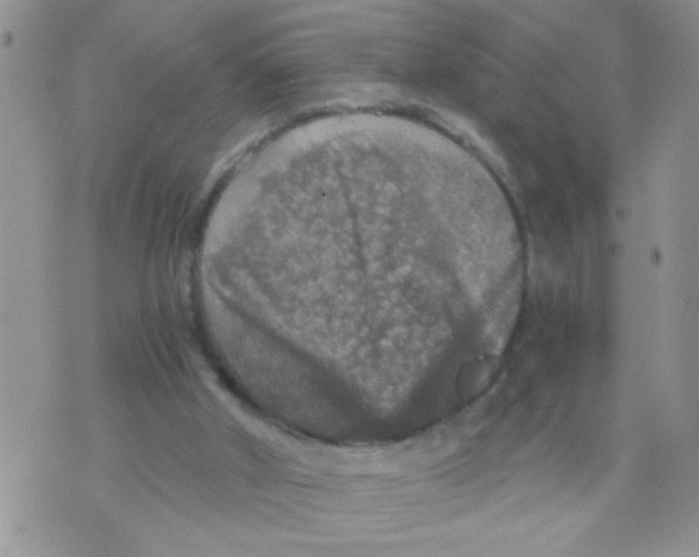 X0000073750010200608311947