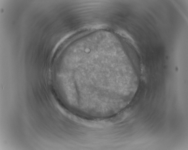 X0000073750012200608311947