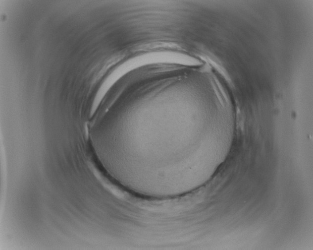 X0000073750013200608311946